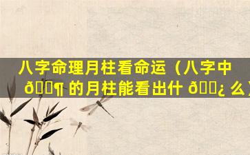 八字命理月柱看命运（八字中 🐶 的月柱能看出什 🌿 么）